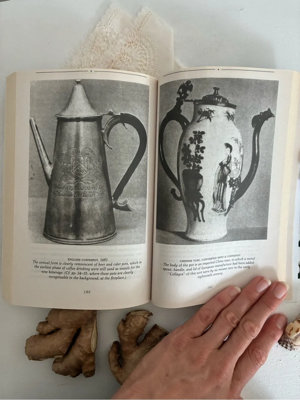 Tastes of Paradise Paperback Book - Wolfgang Schivelbusch